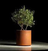 Cortenstaal Plantenbak met wielen