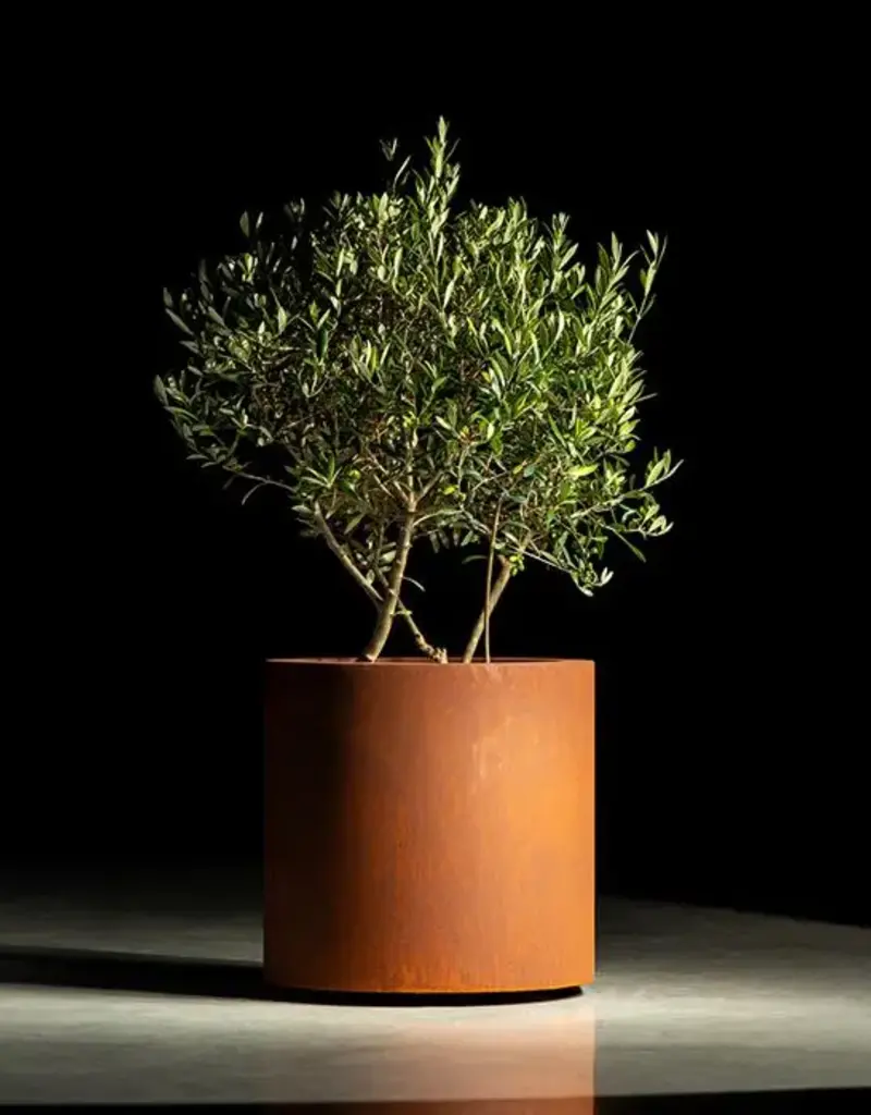 Cortenstaal Plantenbak met wielen