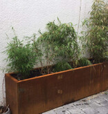 Artesa Cortenstaal Plantenbak rechthoekig met bodem