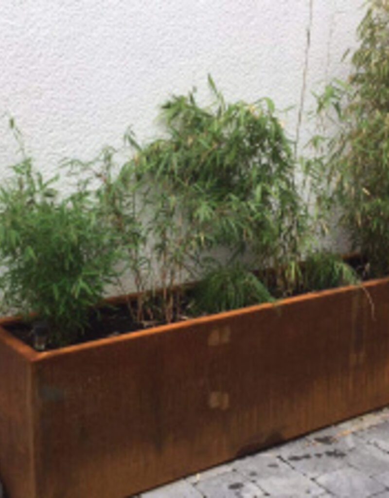 Artesa Cortenstaal Plantenbak rechthoekig met bodem