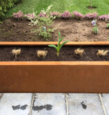 Artesa Cortenstaal Plantenbak rechthoekig met bodem