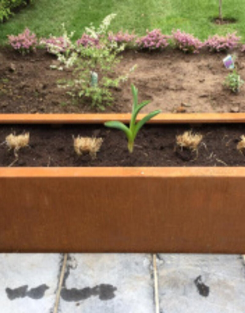 Artesa Cortenstaal Plantenbak rechthoekig met bodem