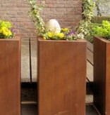 Artesa Cortenstaal Plantenbak vierkant met bodem