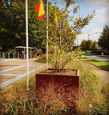 Artesa Cortenstaal Plantenbak vierkant met bodem