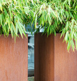 Artesa Cortenstaal Plantenbak vierkant met bodem