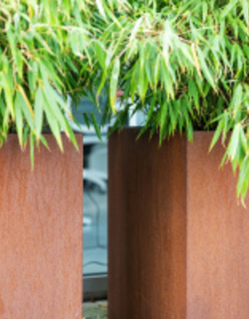 Artesa Cortenstaal Plantenbak vierkant met bodem