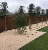 Gerof Cortenstaal Sfeerpaneel / Tuinscherm