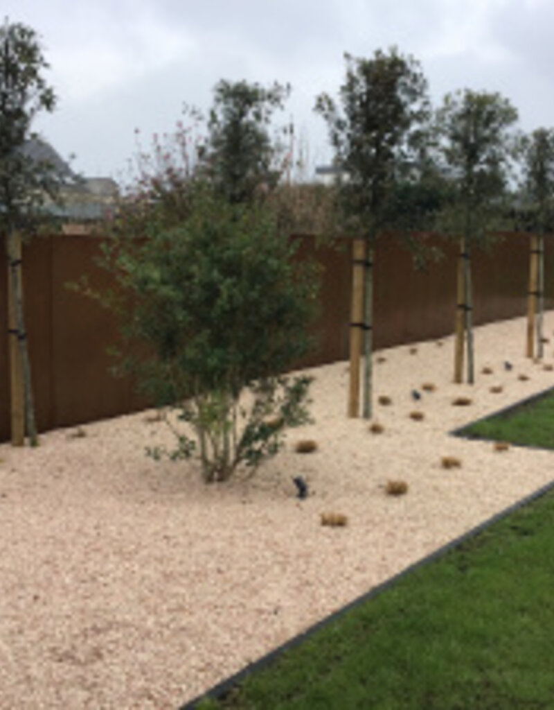Gerof Cortenstaal Sfeerpaneel / Tuinscherm