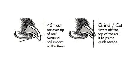 Nagelverzorging