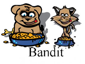 Op bezoek bij ..... Bandit! Biologische Diepvries vleesvoeding voor hond & Kat