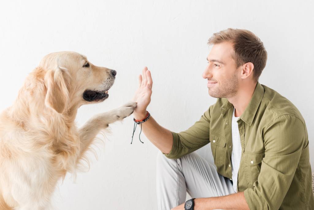 Ontworm op maat en vergeet niet om goed voor de darmflora van uw hond of kat te zorgen!