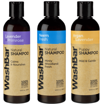 Washbar Shampoo Lavendel & Teunisbloem