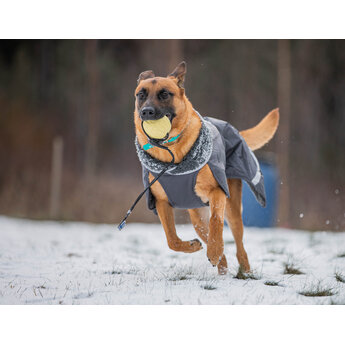 Pomppa PerusPomppa Graphite,  gevoerde lichtgewicht regenjas voor de hond