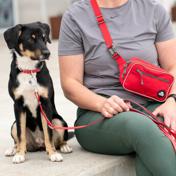 Dog copenhagen Go Explorer Belt Bag