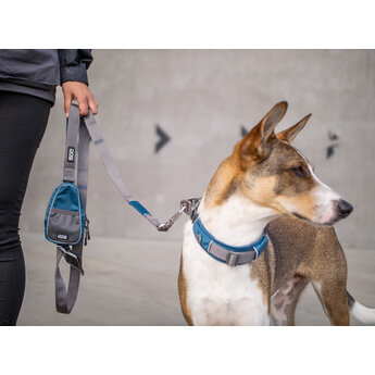 DOG Copenhagen Urban Explorer Collar / Halsband  MODEL 2023