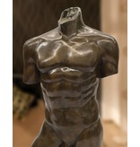 Adonis – Männlicher Torso aus Bronze
