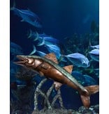 Petri – Bronzeskulptur eines Raubfisches