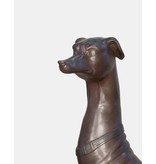 Grand Tesem – Überlebensgroßer Windhund Bronzefigur