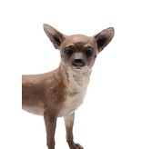 Chico – Stehender Chihuahua Bronze