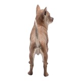 Chico – Stehender Chihuahua Bronze