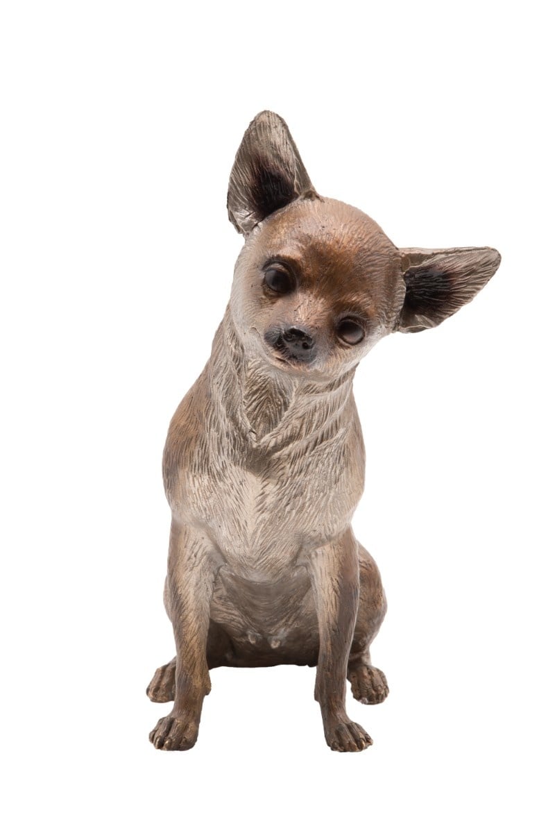 Sitzender Chihuahua Bronzefigur Lebensgroß - Brontique