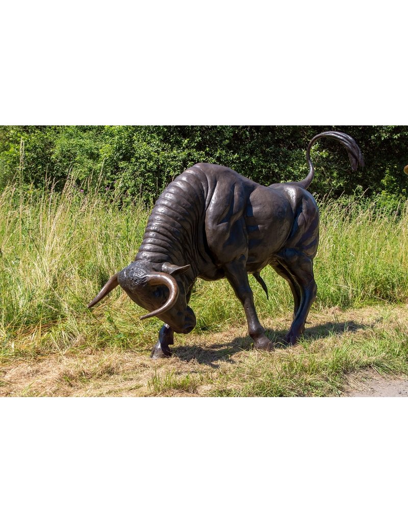 Taurus Impetus - Lebensgroßer Stier Skulptur in Angriffshaltung