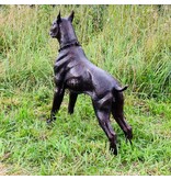 Boxer – Tolle Hundefigur aus Bronze