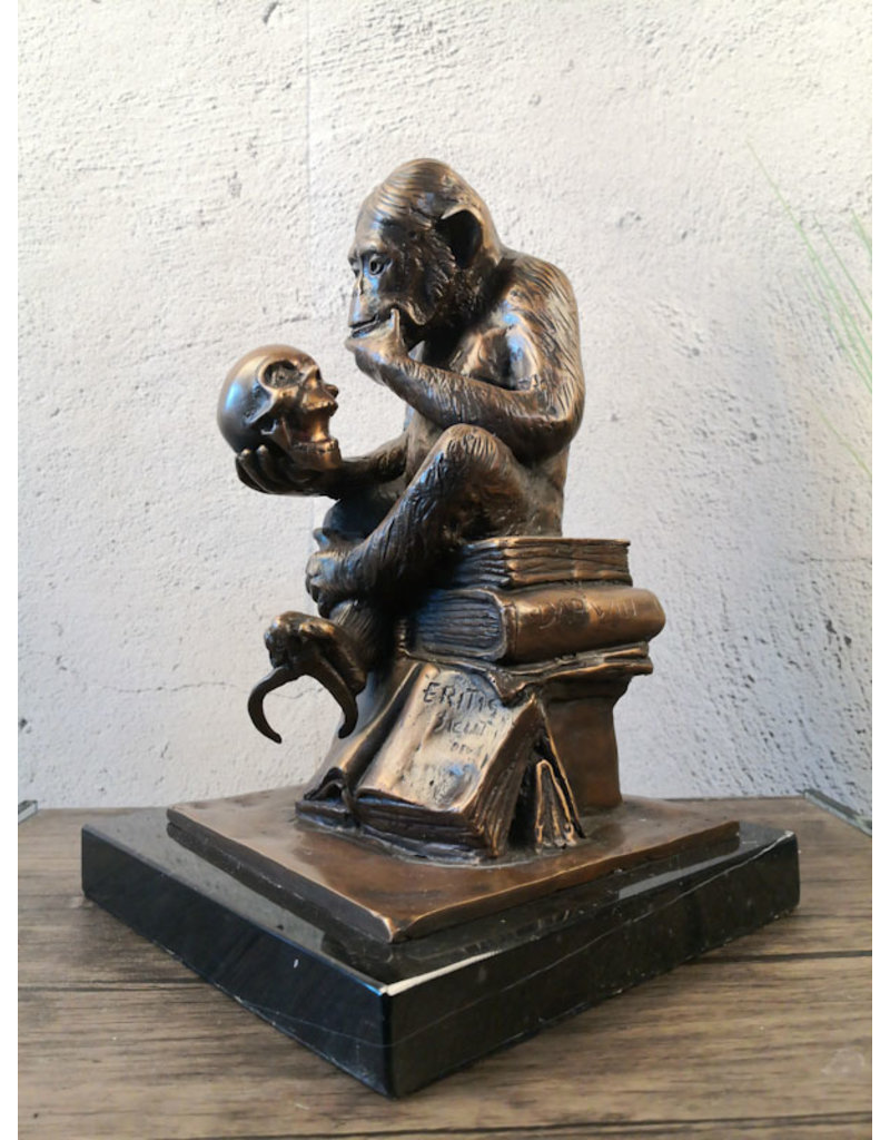Affe mit Schädel - Bronzestatue