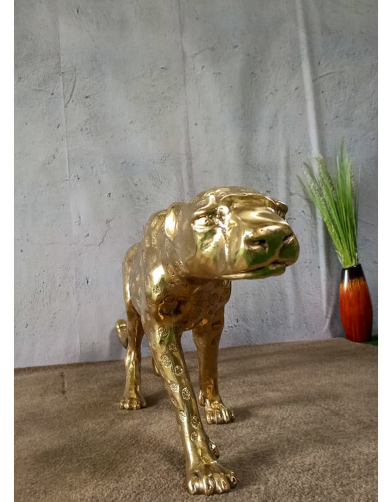 Moyenne Aristea – Goldfarbener Gepard Bronzefigur