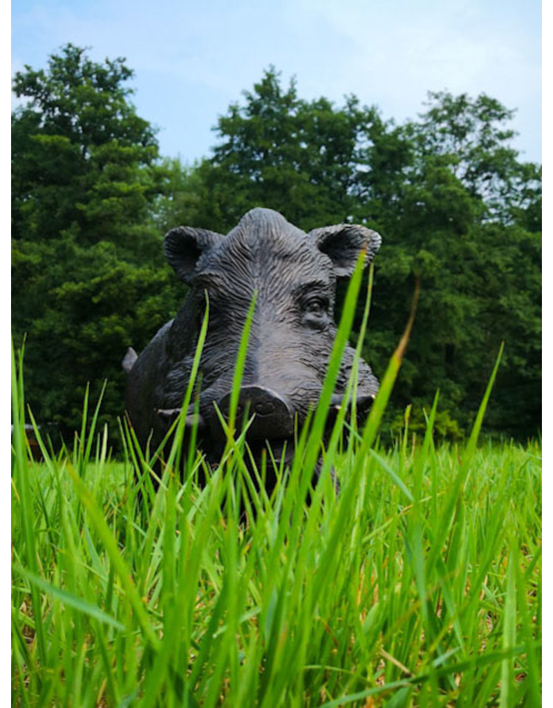 Sus – Bronzeskulptur eines Wildschweins