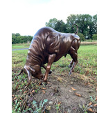 Taurus – Stier Skulptur aus Bronze