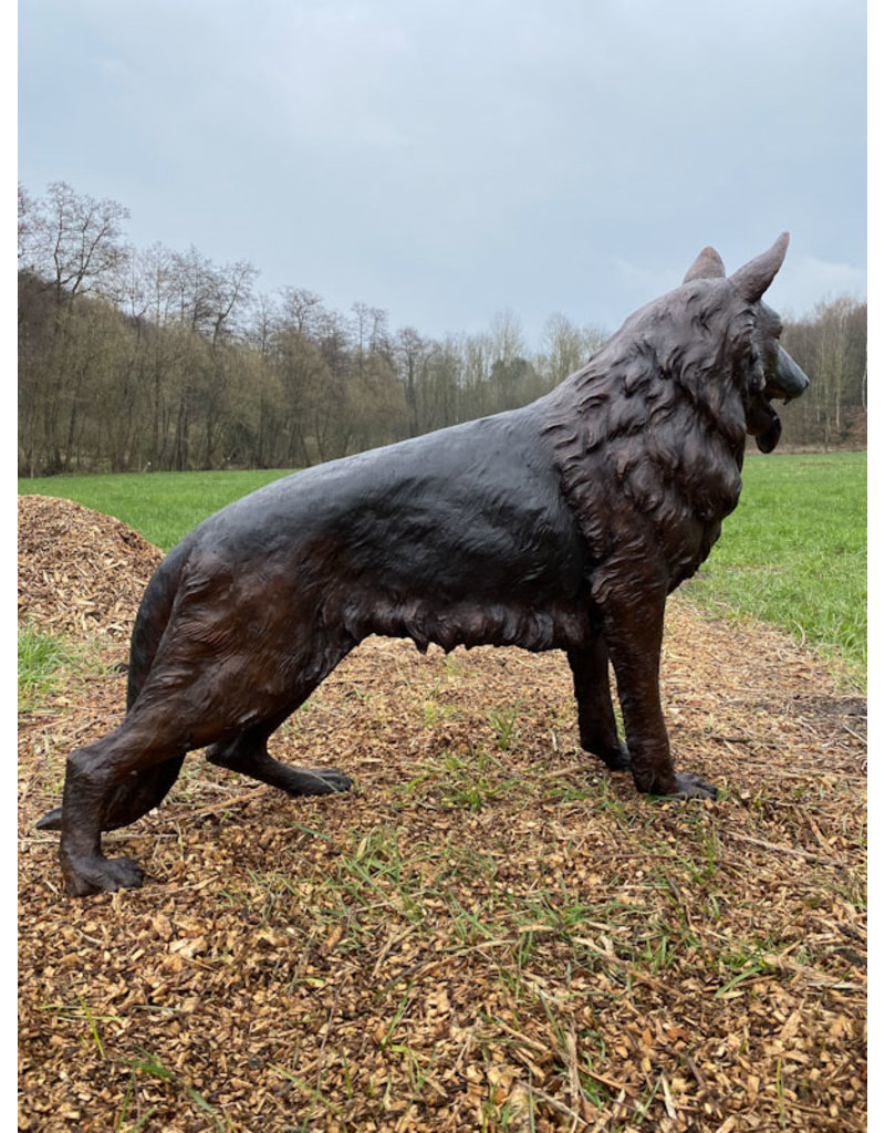 Grand Rex – Lebensgroßer Schäferhund Bronzeskulptur