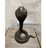 Elapid – Bronzeskulptur einer Kobra
