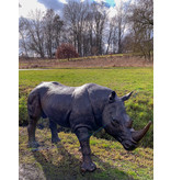 Rhino – Große Bronzefigur Nashorn