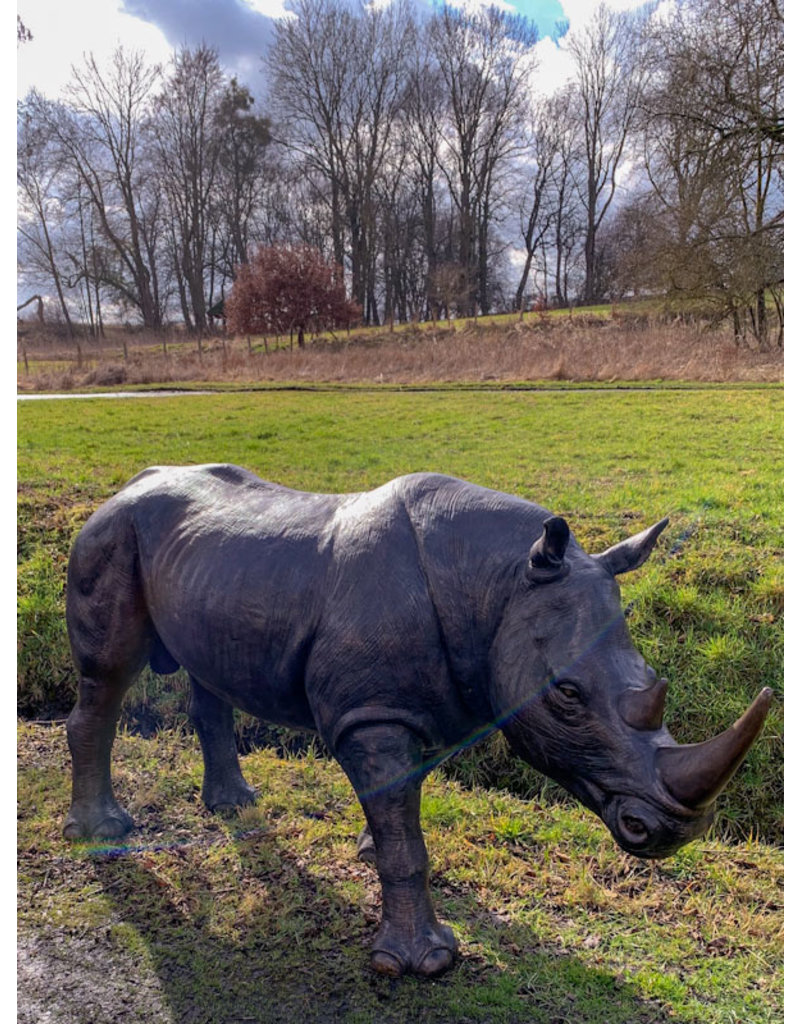 Rhino – Große Bronzefigur Nashorn