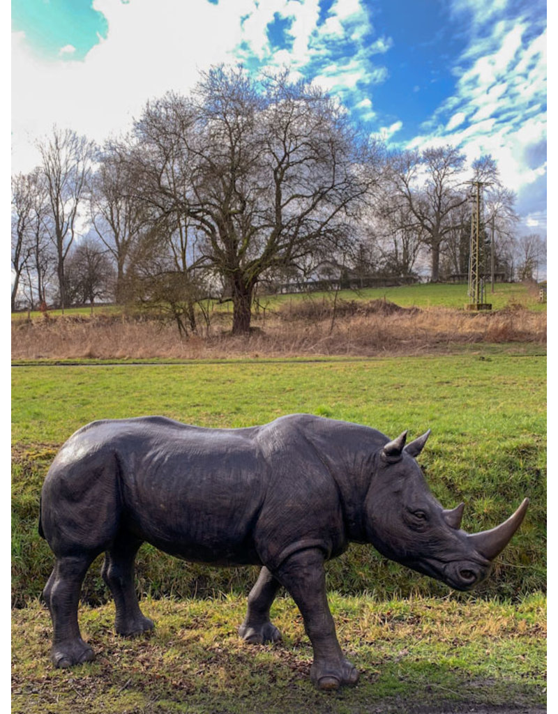 Rhino – Große Bronzefigur Nashorn
