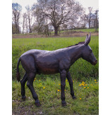 Asinus – Große Bronzefigur junger Esel