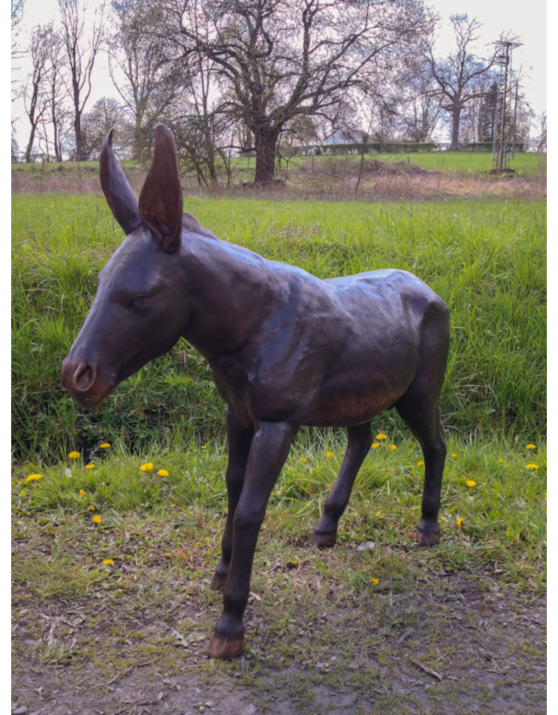 Asinus – Große Bronzefigur junger Esel