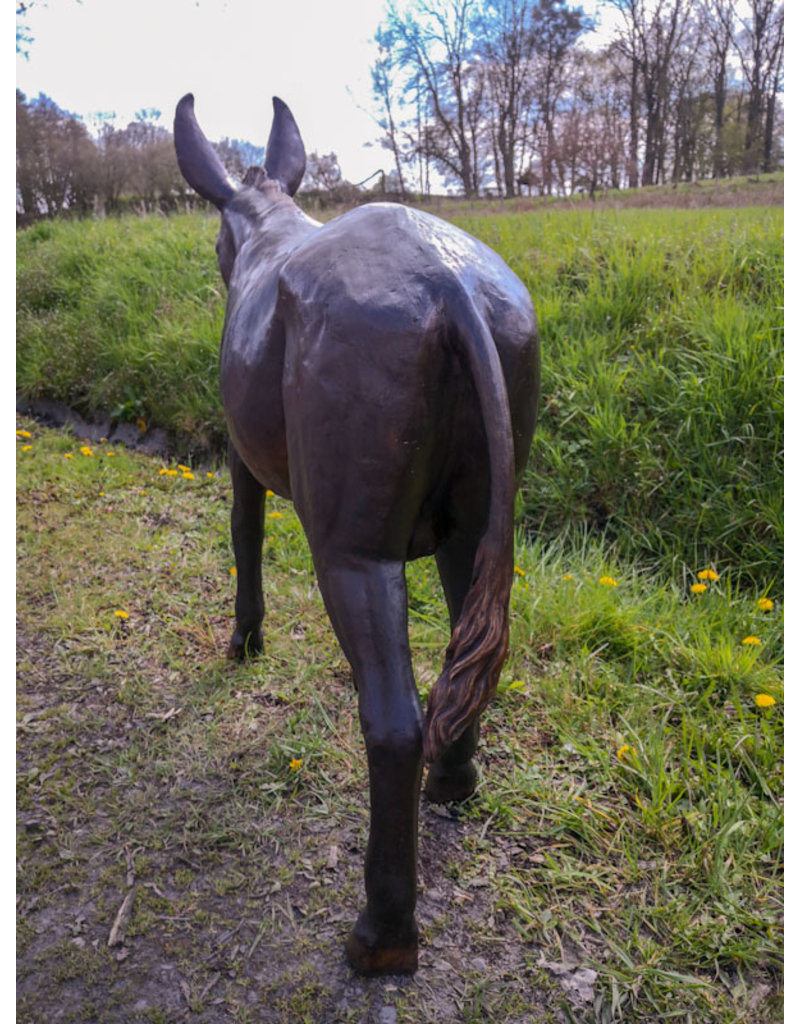 Asinus – Große Bronzefigur junger Esel