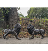 Leos – Löwen Bronzefiguren Set