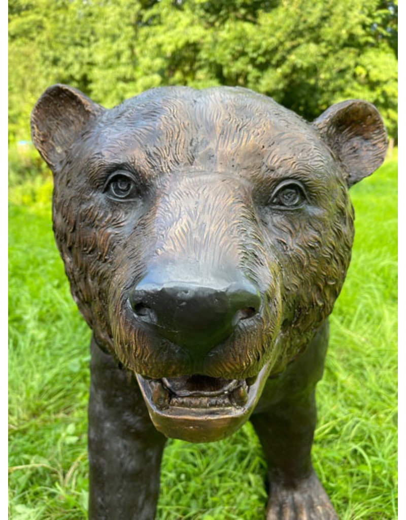 Ben – Großer Bronzebär