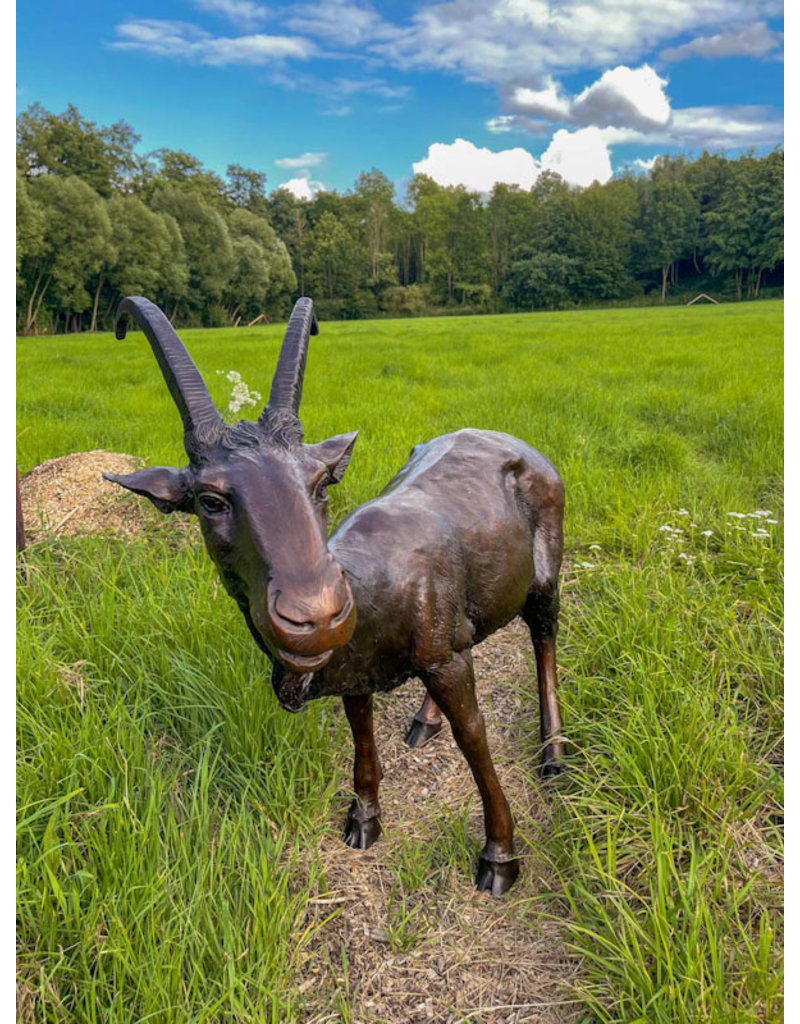 Capra – Lebensgroße Ziege Bronzefigur
