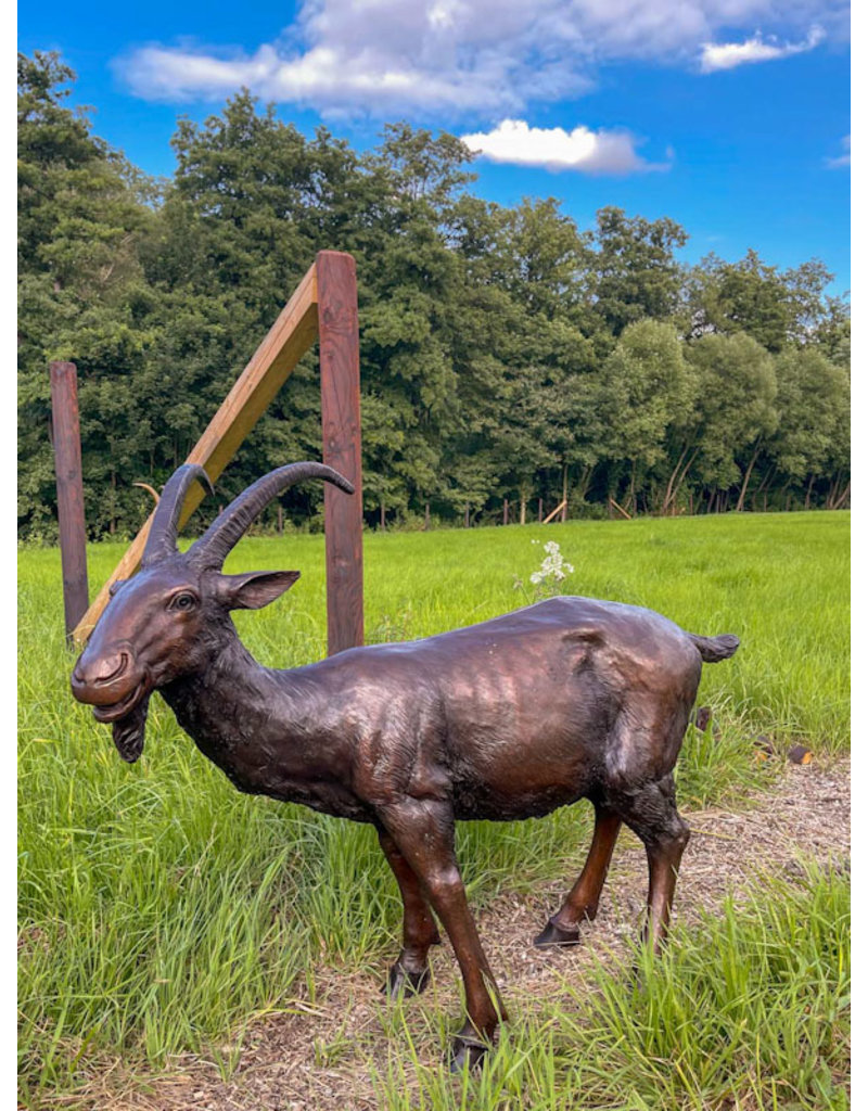 Capra – Lebensgroße Ziege Bronzefigur