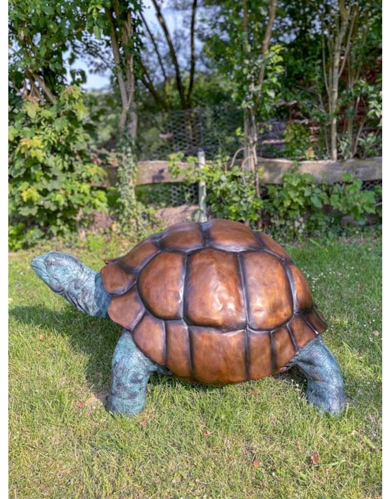 Morla – Riesige Schildkröte Bronzefigur