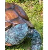 Morla – Riesige Schildkröte Bronzefigur