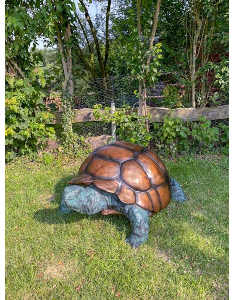 Morla – Riesige Schildkröte Bronzefigur