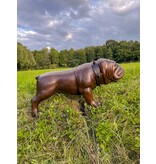 Spike – Bulldogge Bronzestatue