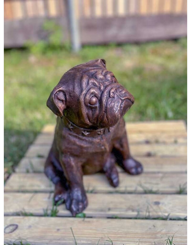 Petite Spike – Kleine Bronze Bulldogge