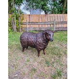 Wilma – Schaf Bronzestatue