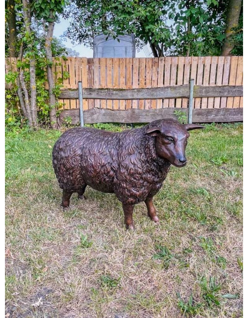 Wilma – Schaf Bronzestatue